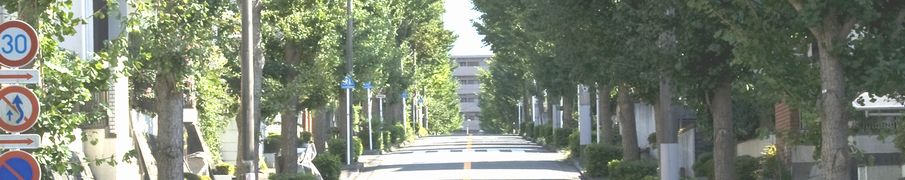 �R�m�ւ̃A�N�Z�X�y�[�W